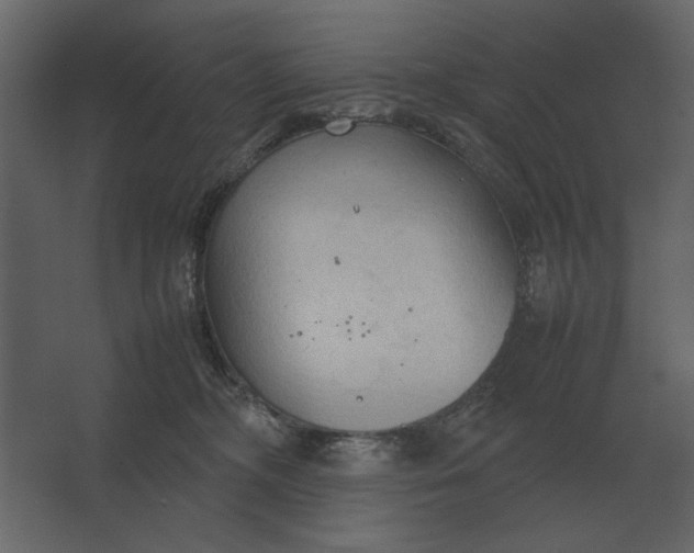 X0000067520326200604211823