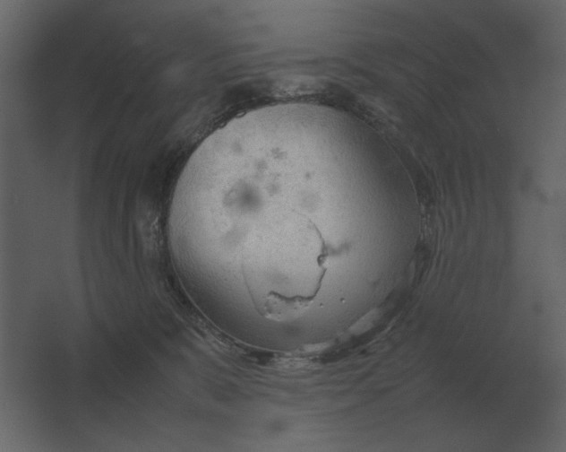 X0000067520327200604211823