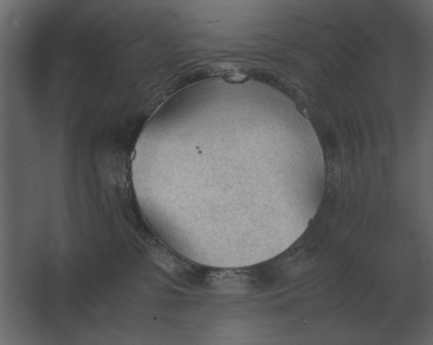 X0000067520331200604211823