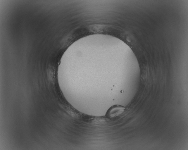 X0000067520332200604211823