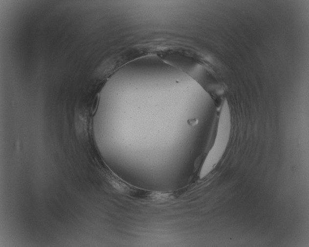 X0000067520333200604211823