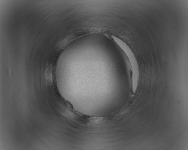 X0000067520334200604211823