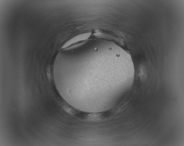 X0000067520335200604211823