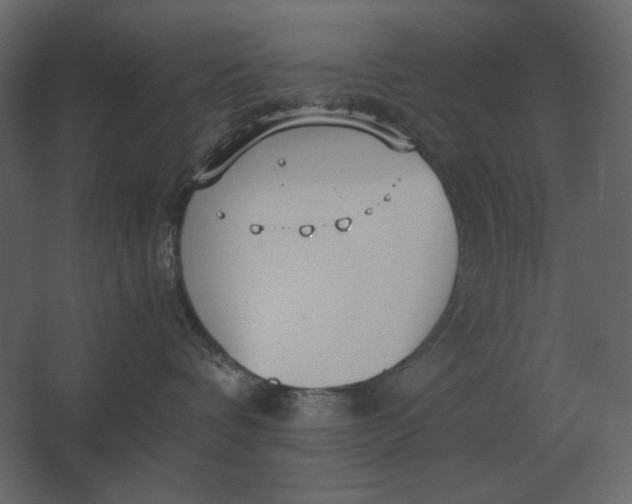 X0000067520336200604211823