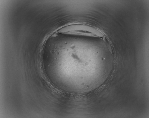 X0000067520337200604211822