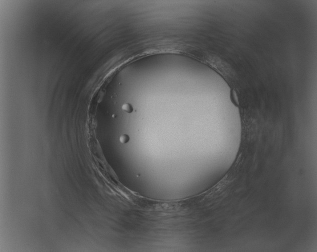 X0000067520338200604211822