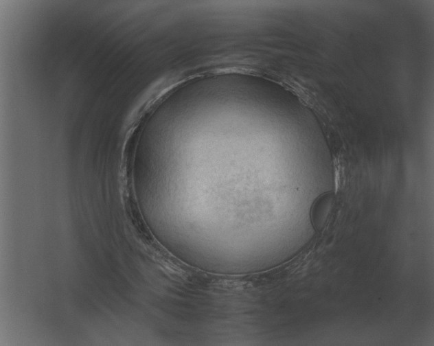 X0000067520339200604211822