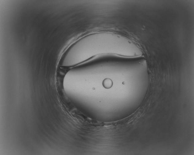 X0000067520340200604211822