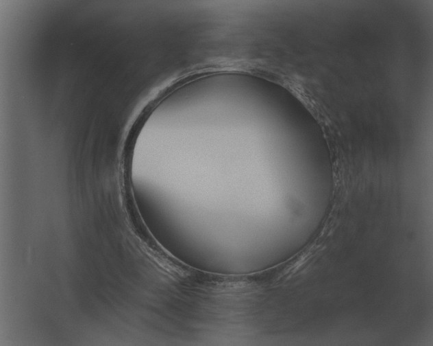 X0000067520342200604211823