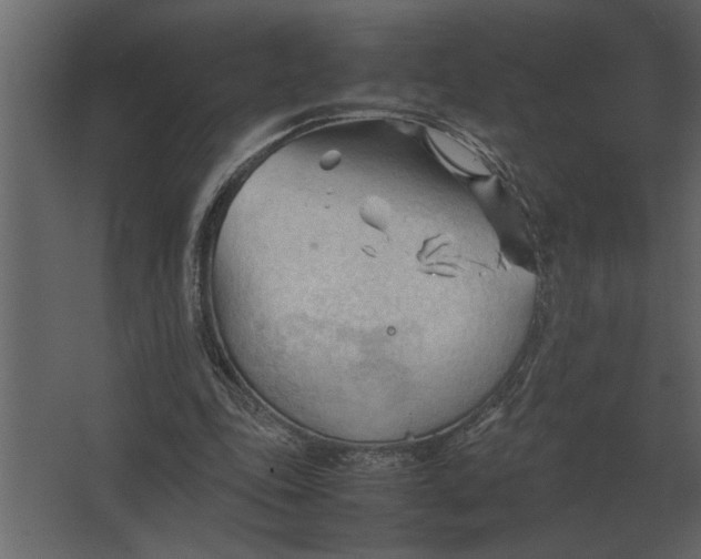 X0000067520343200604211823