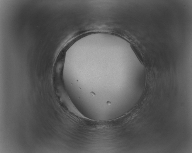 X0000067520344200604211823