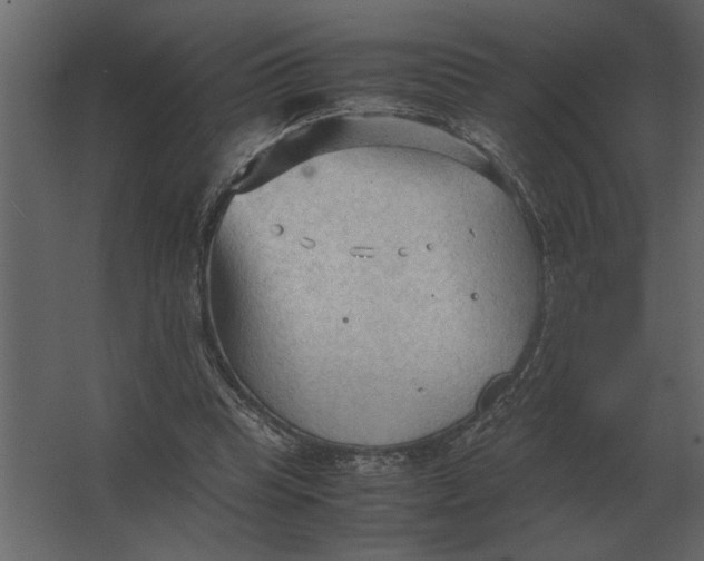 X0000067520345200604211823