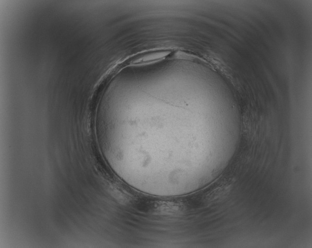 X0000067520347200604211823