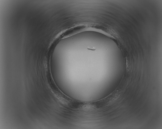 X0000067520348200604211823