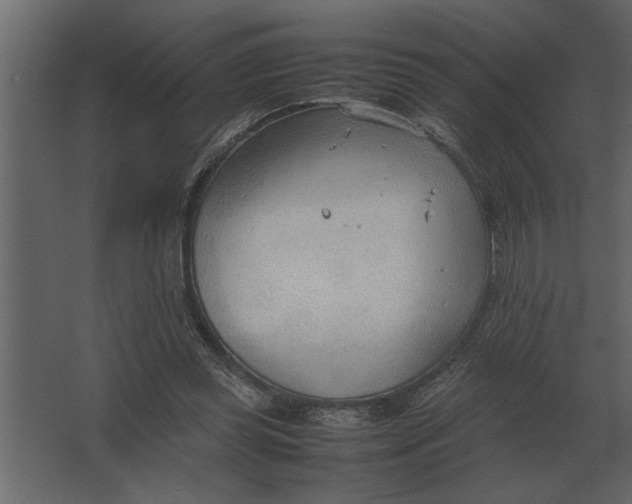 X0000067520349200604211823