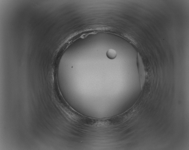 X0000067520350200604211823