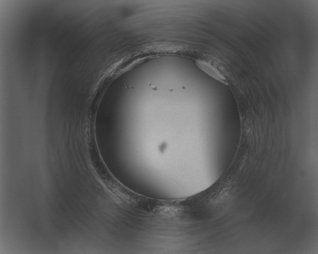 X0000067520352200604211823