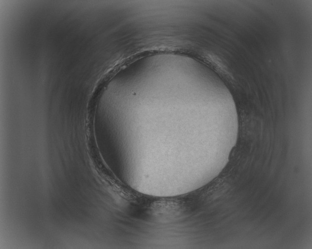 X0000067520354200604211823