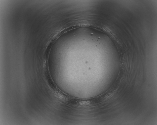 X0000067520355200604211823