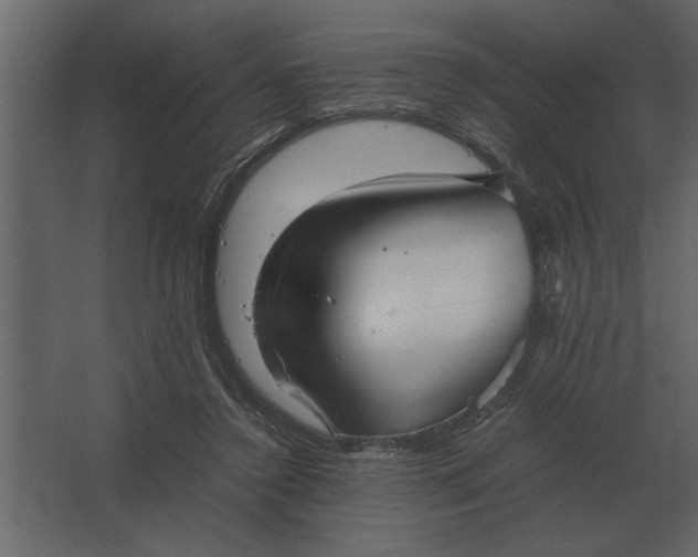 X0000067520356200604211823