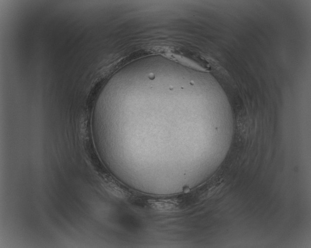 X0000067520359200604211823