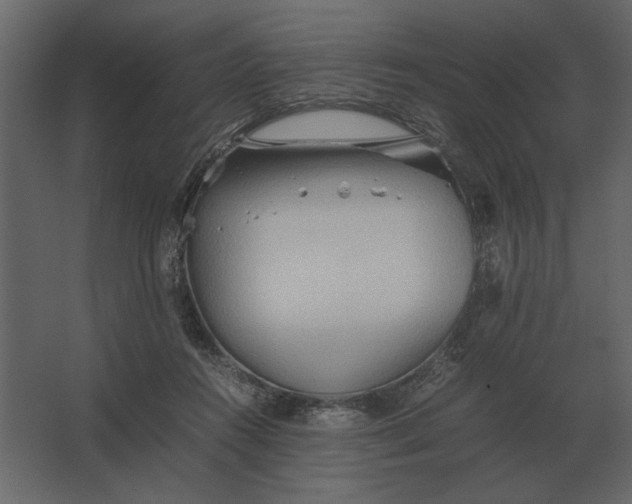 X0000067520360200604211823