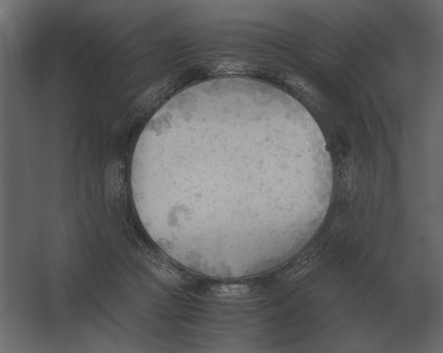 X0000067520361200604211823