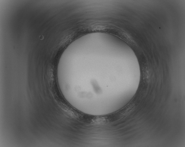 X0000067520362200604211823