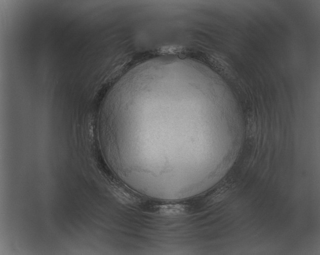 X0000067520363200604211823