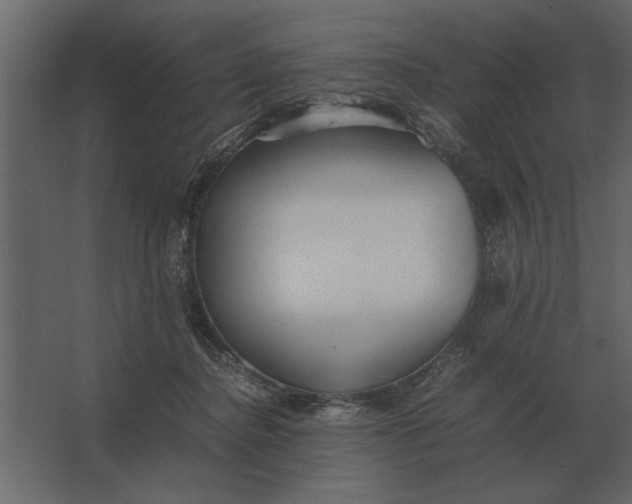 X0000067520364200604211823