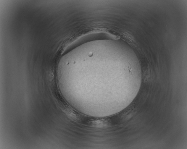 X0000067520365200604211823