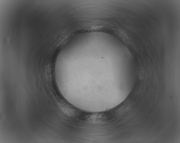 X0000067520366200604211823