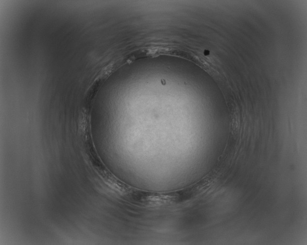 X0000067520367200604211823