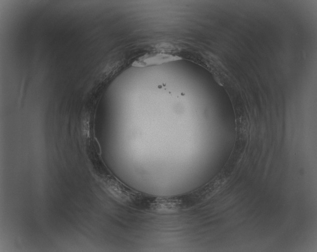 X0000067520368200604211823