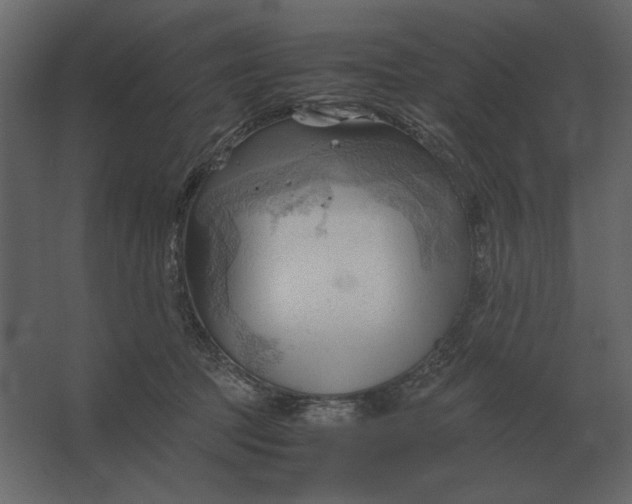 X0000067520369200604211823