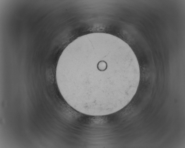 X0000067520370200604211823