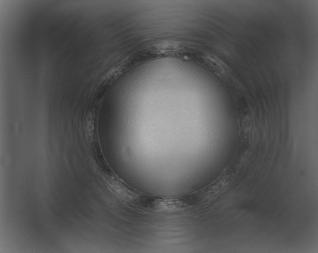 X0000067520372200604211823