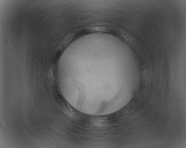 X0000067520373200604211823