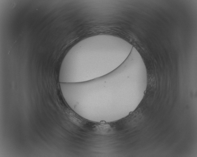 X0000067520374200604211823