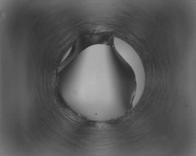 X0000067520376200604211823