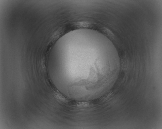 X0000067520377200604211823