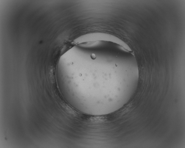 X0000067520378200604211823