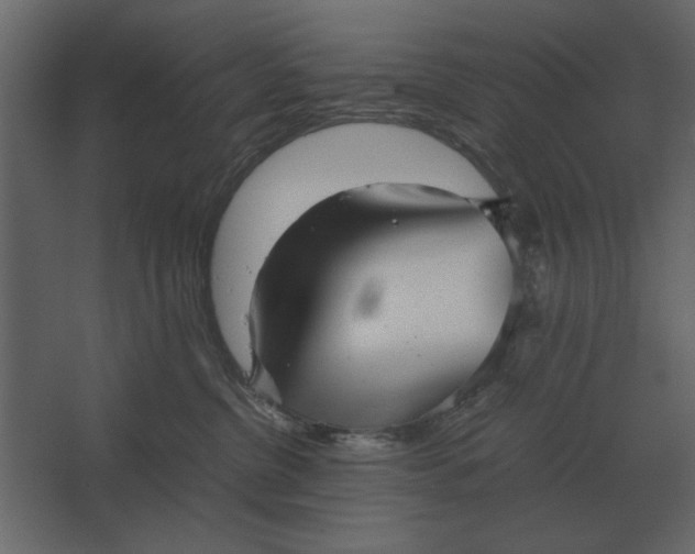 X0000067520380200604211823