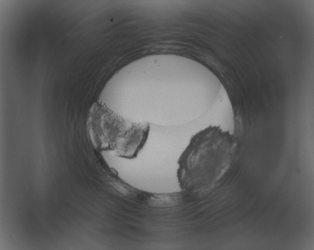 X0000067520381200604211823