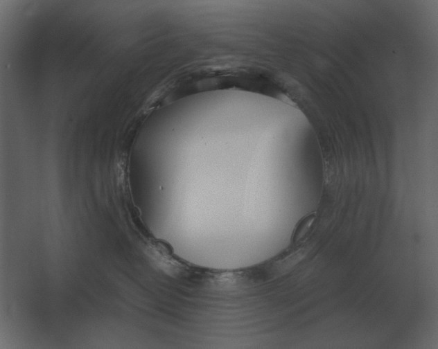 X0000067520382200604211823