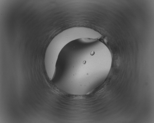 X0000067520383200604211823