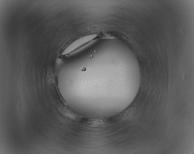 X0000067520384200604211823