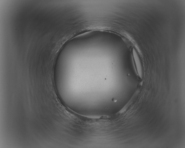 X0000067520385200604211822