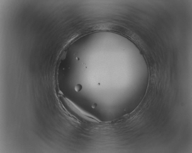 X0000067520386200604211822