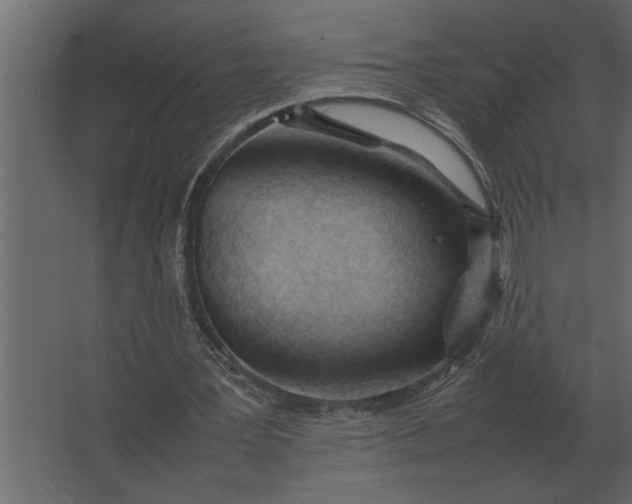 X0000067520387200604211822